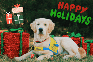 canineorg dog christmas dogs puppy GIF
