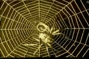 ccemx_  GIF