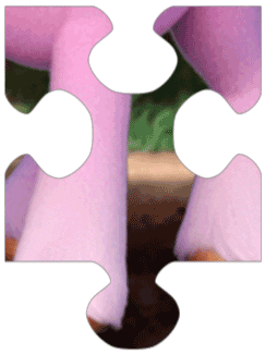 Puzzle Sticker by My Little Pony
