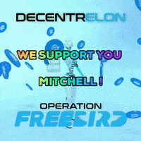 Crypto Mitchell GIF by decentrelon