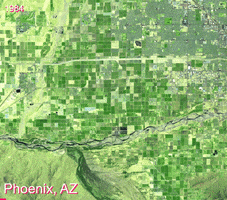 Arizona Phoenix GIF by burdgis