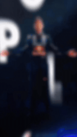 Max Verstappen GIF