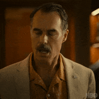 100 Percent Agree GIF by HBO