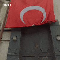 Turkish Flag GIF by TRT