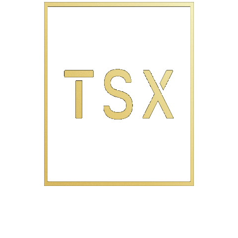 TSX ENTERTAINMENT Sticker