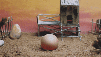 Chicken Funny Gif GIF by Cookingfunny