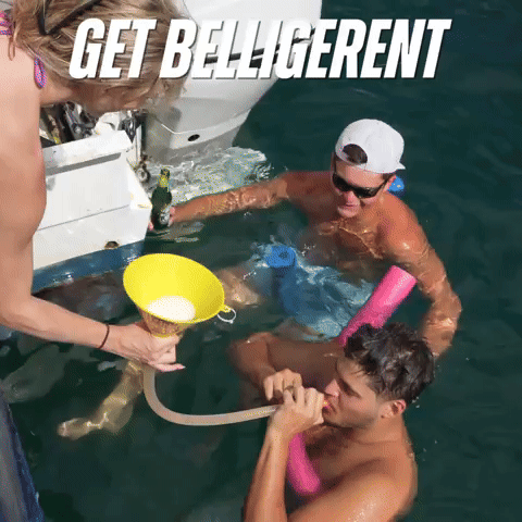 Belligerent Bermuda GIF