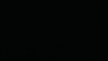 Mexico Orange GIF by Hapag-Lloyd AG