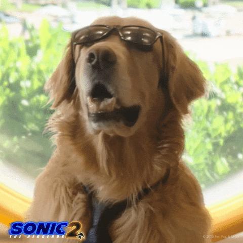 Dog Ozzy GIF by Sonic The Hedgehog