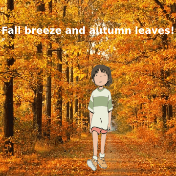 Fall Autumn GIF