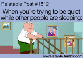 TV gif. Peter from Family Guy carefully eases himself onto a step and then falls down the stairs. Text, "Relatable Post 1812. When you're trying to be quiet while other people are sleeping."