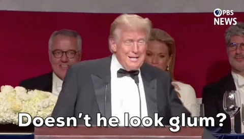 Donald Trump GIF