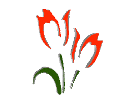 Pizza Cena Sticker by Macelleria Callegari