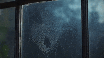 Tough Luck GIF by Laufey