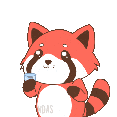 Drink More Red Panda Sticker