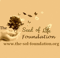 World Plant GIF by The Seed of Life Foundation