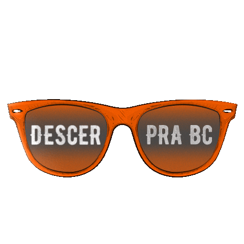 Santa Catarina Balneario Sticker by Brenno e Matheus