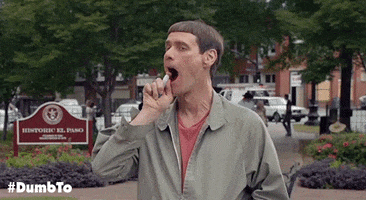 jim carrey lloyd GIF by Dumb and Dumber To