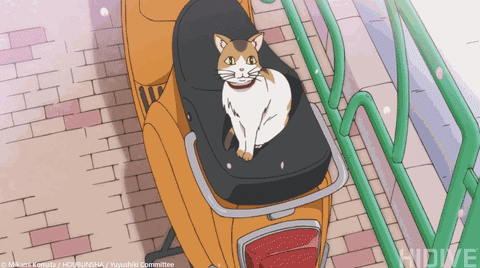 Anime Peach Cat Mochi Jumping Cute GIF  GIFDBcom
