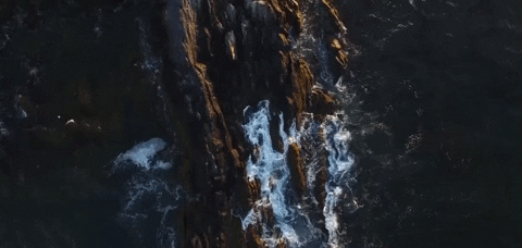 Adventuring through the Canadian Rockies