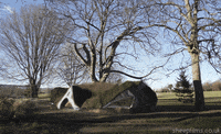 deflate inflate GIF by sheepfilms