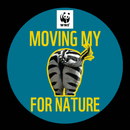 Team Panda 20Km GIF by WWF-Belgium