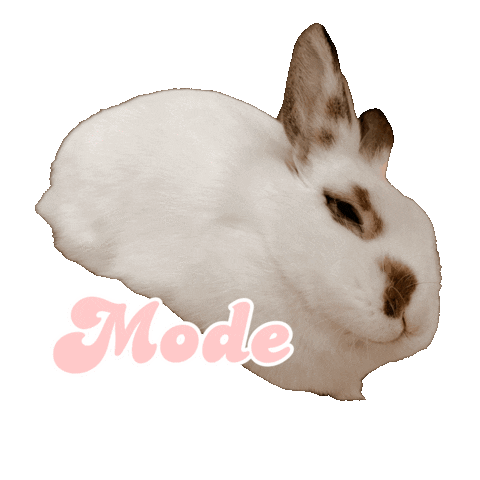 Animated Sticker