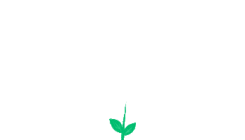 safefinancial Sticker