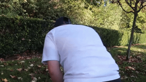[Image: giphy.gif]
