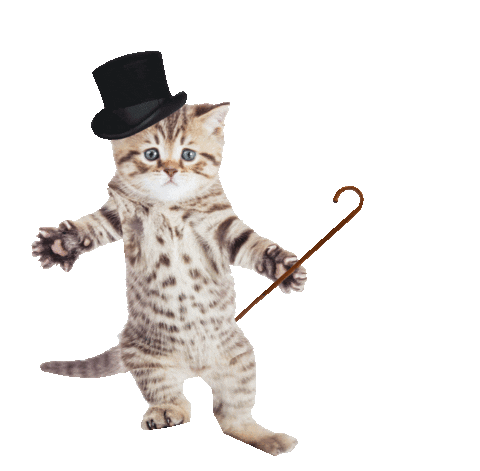 Happy Top Hat Sticker by Bubble Punk for iOS & Android | GIPHY