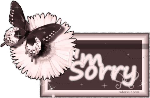 apology