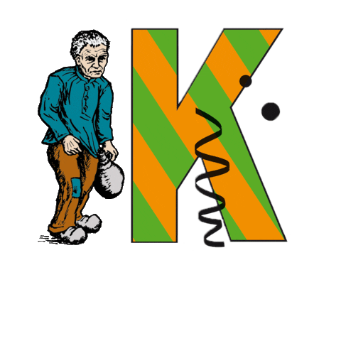 Carnaval in Kruikenstad Sticker