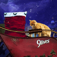 Cat Food Christmas GIF by Morris the 9Lives Cat