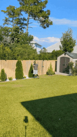 Sunglasses Lets Goo GIF