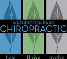 Chiropractic GIF by Wash Park chiro