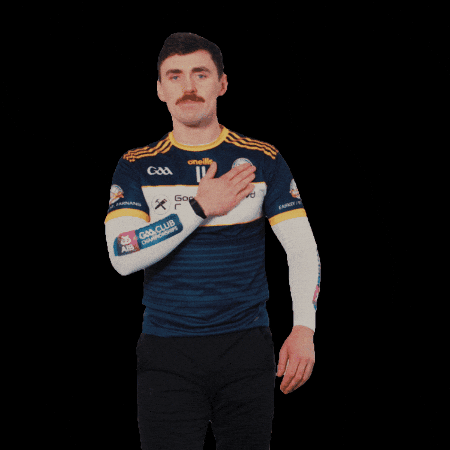 All-Ireland GIF by AIB