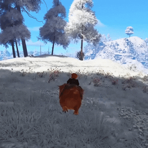 Lets Go GIF by Gameforge