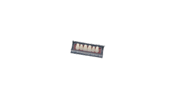 Teeth Optima Sticker by Toros Dental