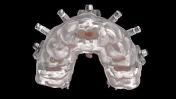GuidedSMILE GIF