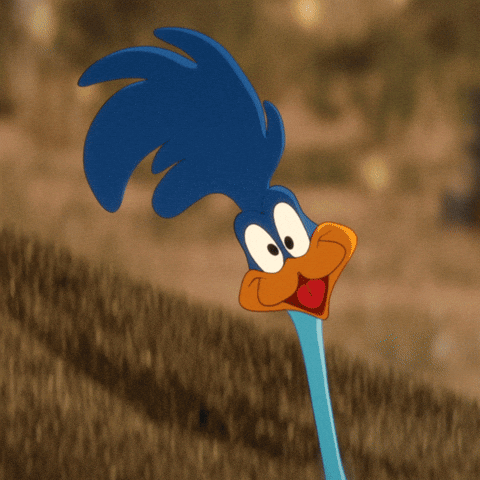 Coyote vs. ACME GIF