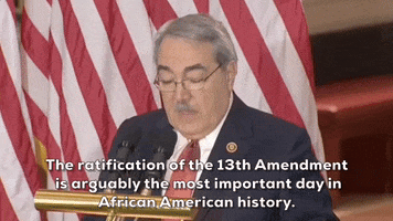 Black History Month 13Th Amendment GIF by GIPHY News