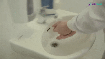wash hands water GIF by safefood