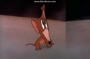 Jerry GIF