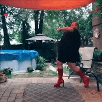 High Heels Dancing GIF by Piñata Farms: The Meme App