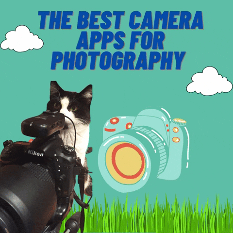 Iphone-camera GIFs - Get the best GIF on GIPHY