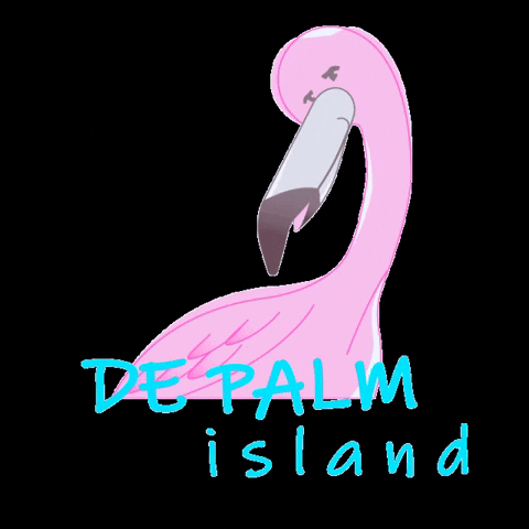 Pink Flamingo GIF by De Palm Tours