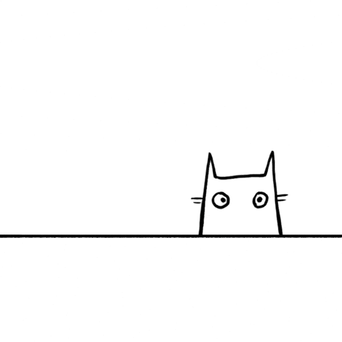 Cat GIF