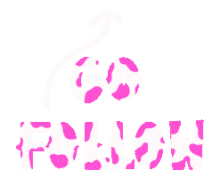 Pink Follow Sticker