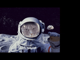 Astronaut Cat In Space GIF by Hacker Noon