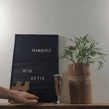 Bamboez GIF